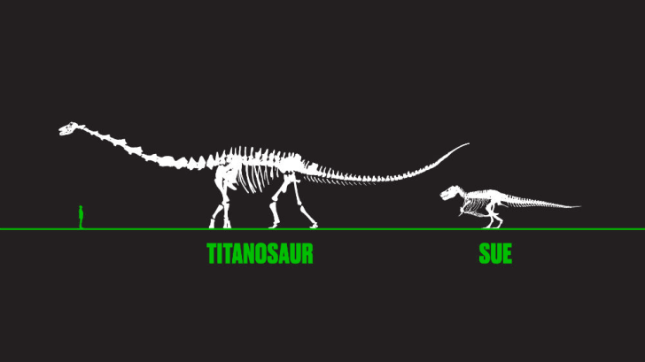stronger than t rex