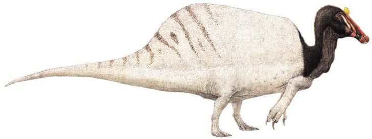 can spinosaurus kill t rex