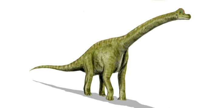 dinosaurs that begin with a