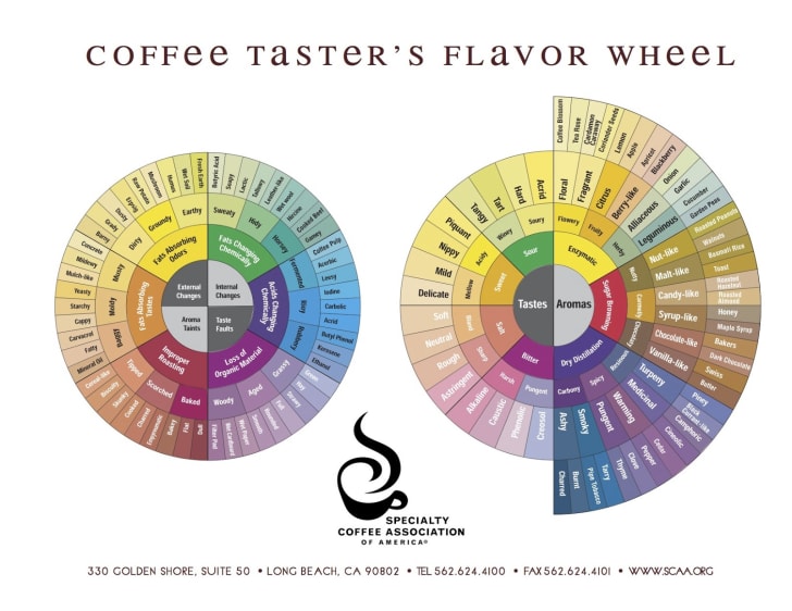172 Words to Describe Coffee From the Official Taster’s Flavor Wheel 172 Words to Describe Coffee From the Official Taster’s Flavor Wheel