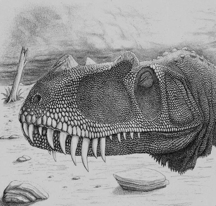 dinosaur with a bumpy head