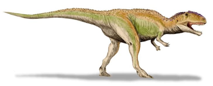 humongous dinosaur
