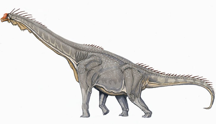 about brachiosaurus