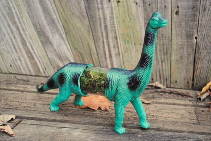live dino