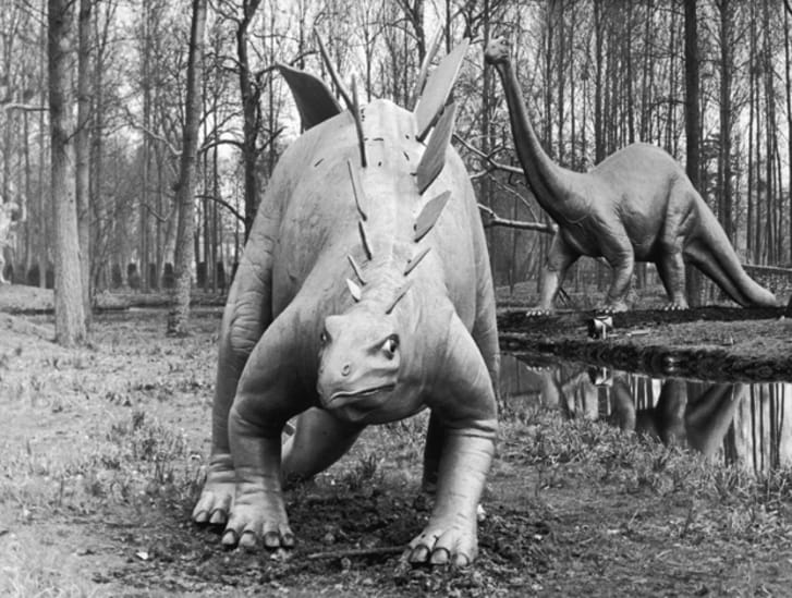 spiky stegosaurus