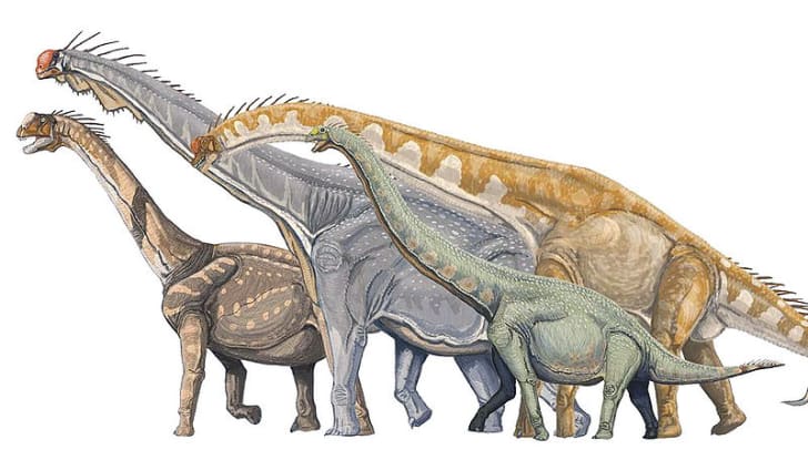 diplodocus and brontosaurus
