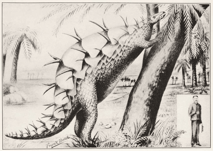 dinosaurs with plates on back