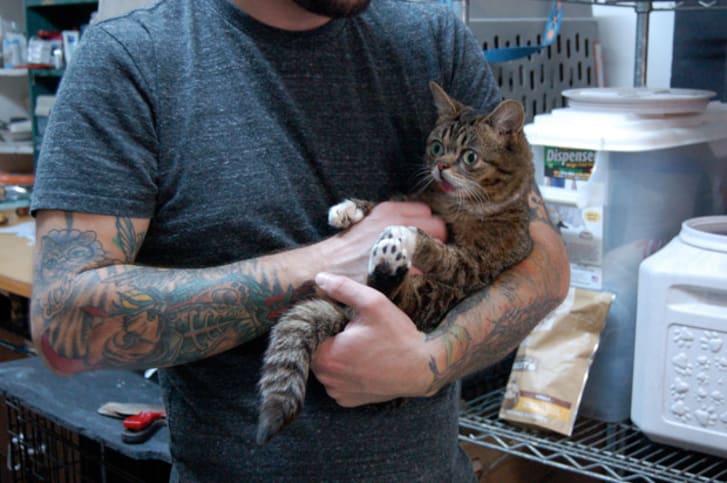 Lil Bub in her owner's arms