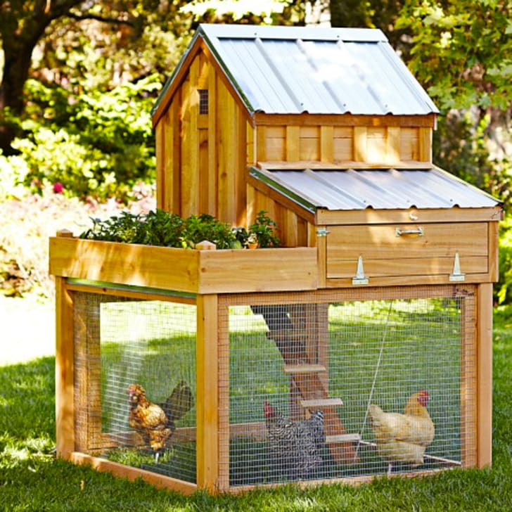 11 Snazzy Chicken Coops for Backyard Poultry Farmers | Mental Floss 11 Snazzy Chicken Coops for Backyard Poultry Farmers