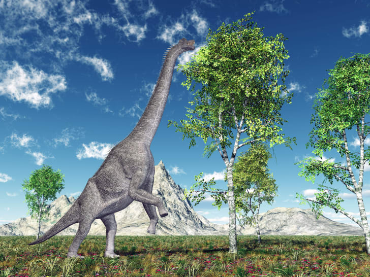 types of dinosaurs brachiosaurus