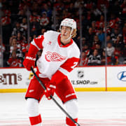 Simon Edvinsson could be the reason Red Wings finally take the next step