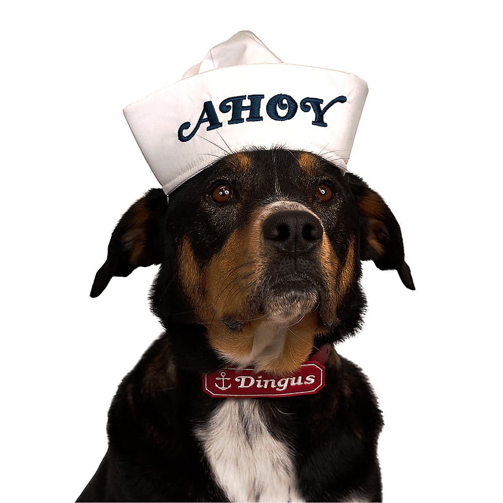 Dress your dog up in a Scoops Ahoy hat from the PetSmart Stranger Things collection.