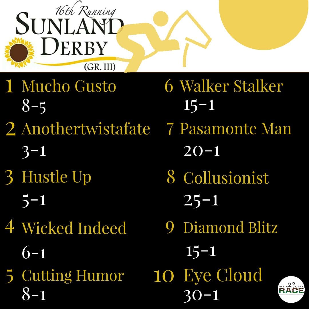 Is there another Kentucky Derby long shot in Sunland Derby?