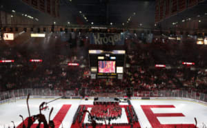 A new look at the Joe Louis Arena site