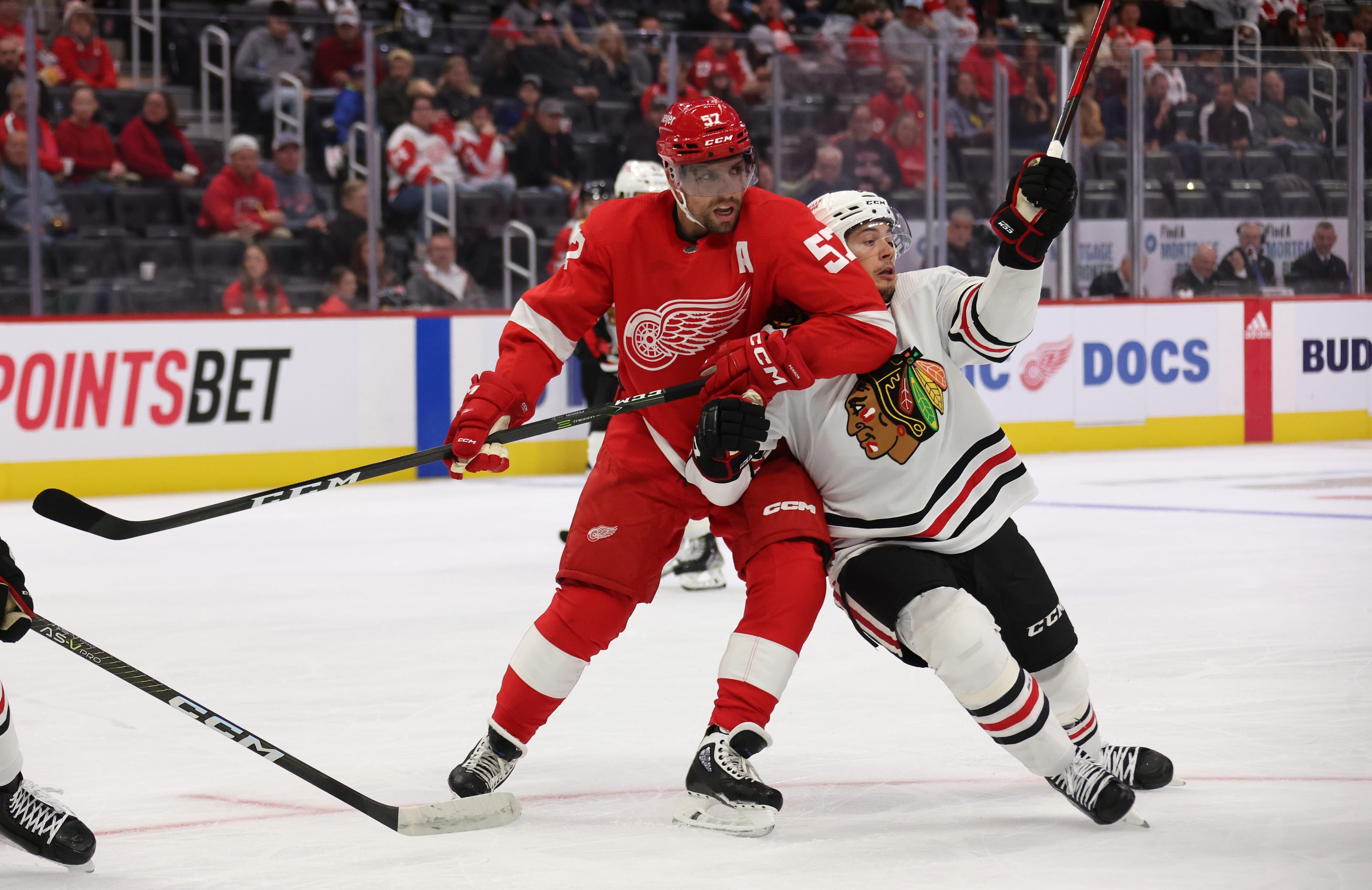 Red Wings: Five Predictions and One Wild Speculation for 2022-2023 - Page 2