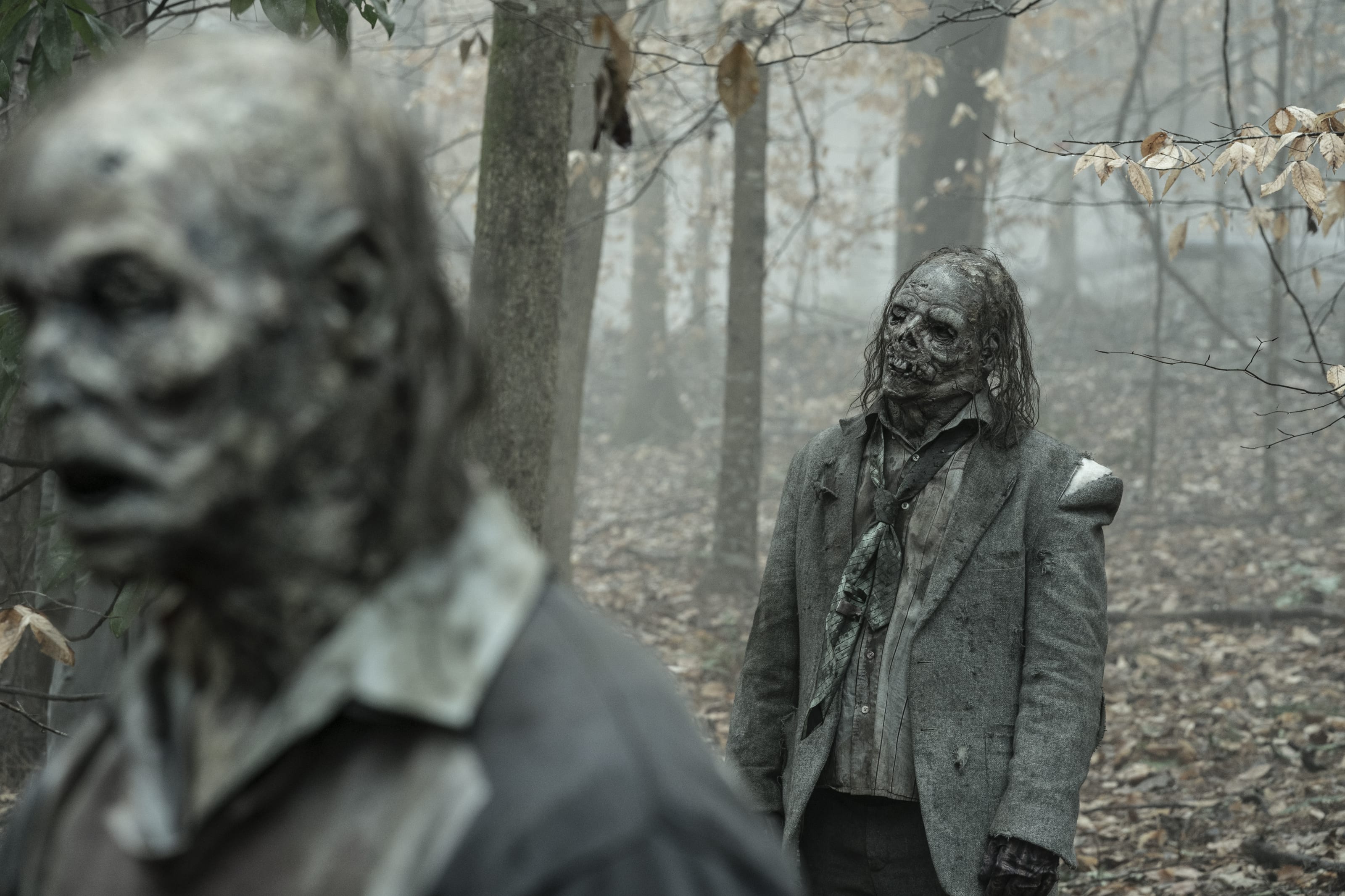 Tales of The Walking Dead season 1, episode 4 recap: Amy/Dr. Everett