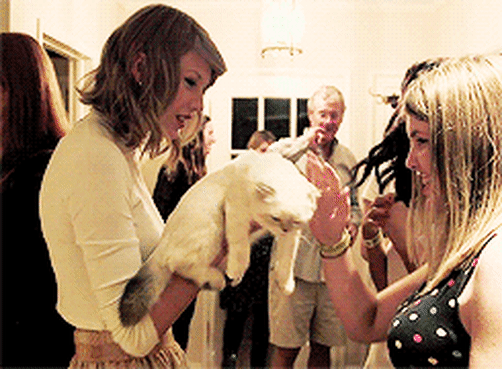 Throwback Thursday 1989 Secret Sessions Fans Of Taylor Swift Music | tv special 27 october 2014. 1989 secret sessions