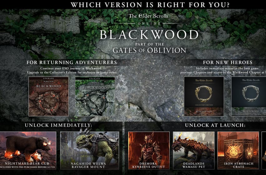 The Elder Scrolls Online Blackwood Release Date, preorder and more