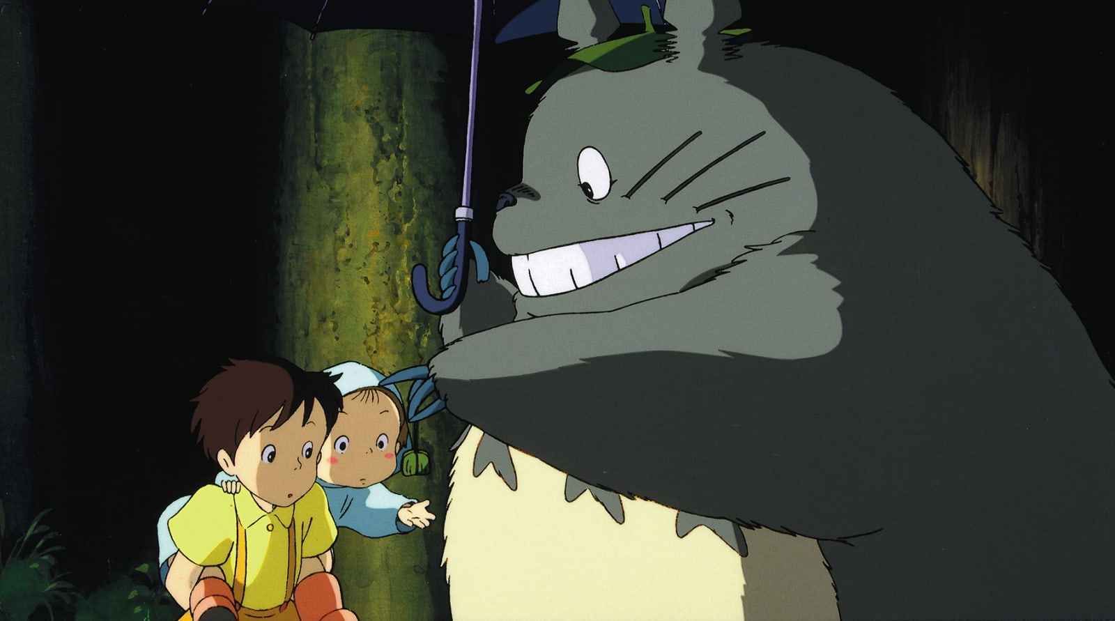 Totoro | Studio ghibli characters, Totoro, My neighbor totoro