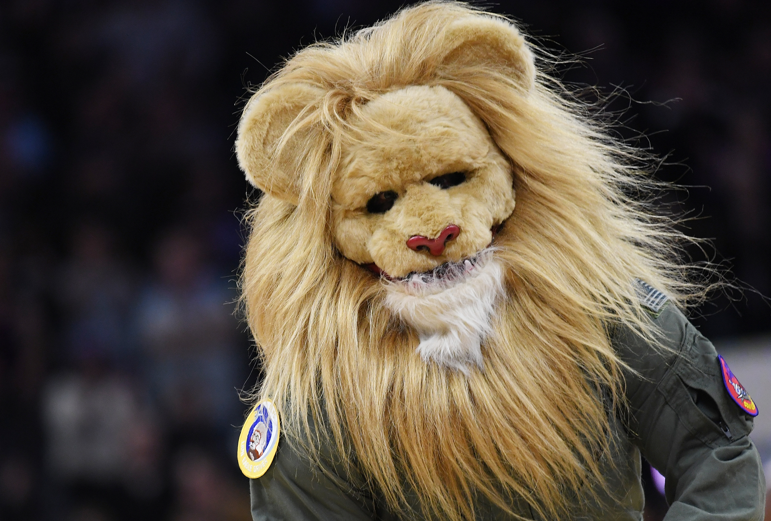 Who is the Sacramento Kings' Mascot Slamson the Lion?