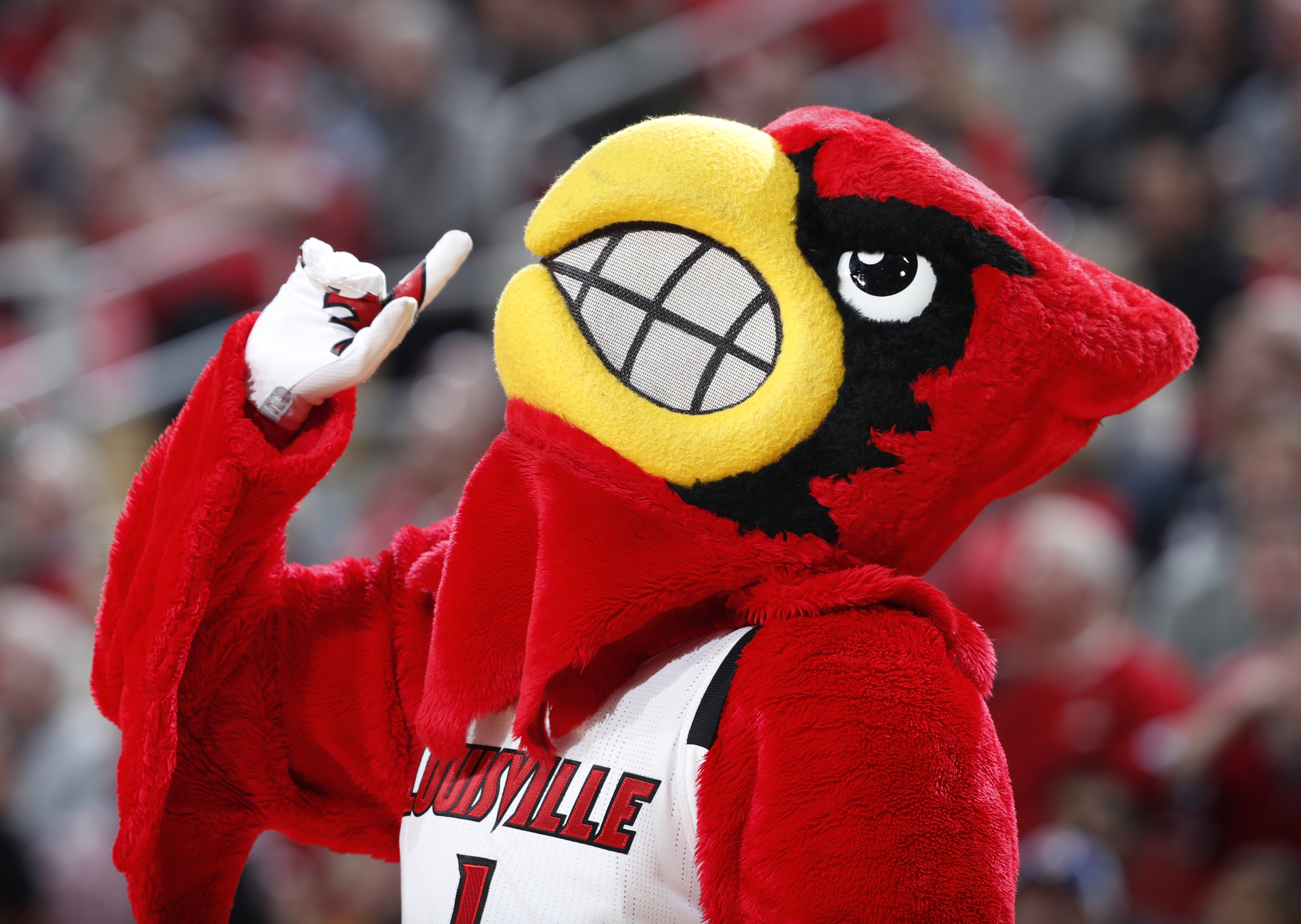 University of Louisville: Overload Red Headband