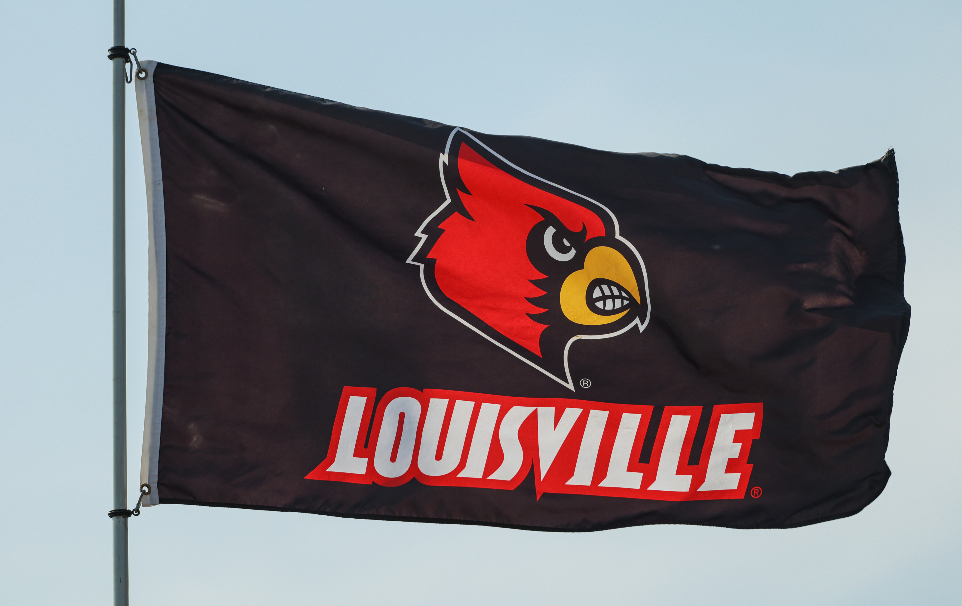 Louisville Cardinals by Michael Johnson