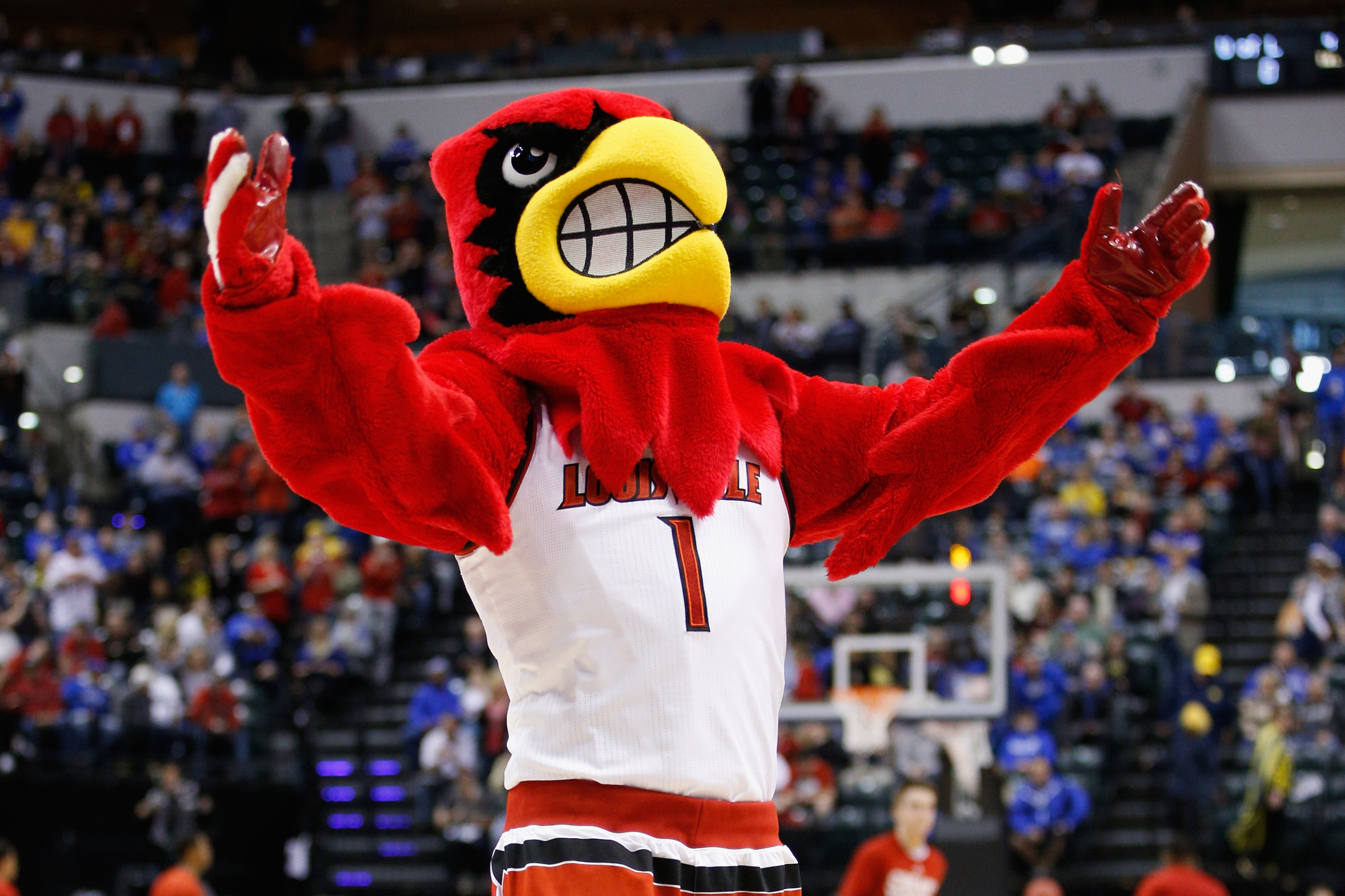 University of Louisville Cardinal Bird – Delta-13