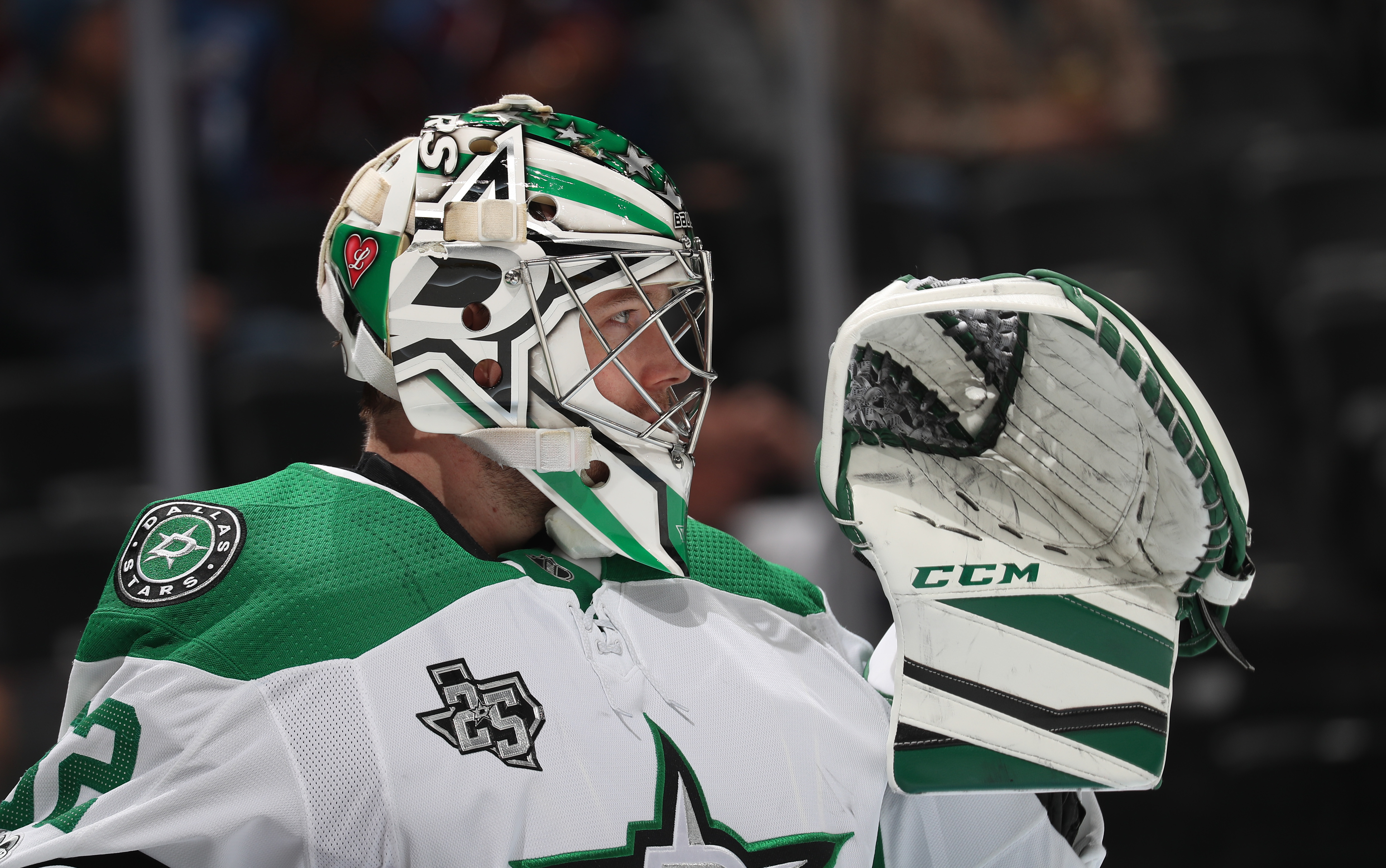 Dallas Stars Finally Have a Clearer Goaltending Picture