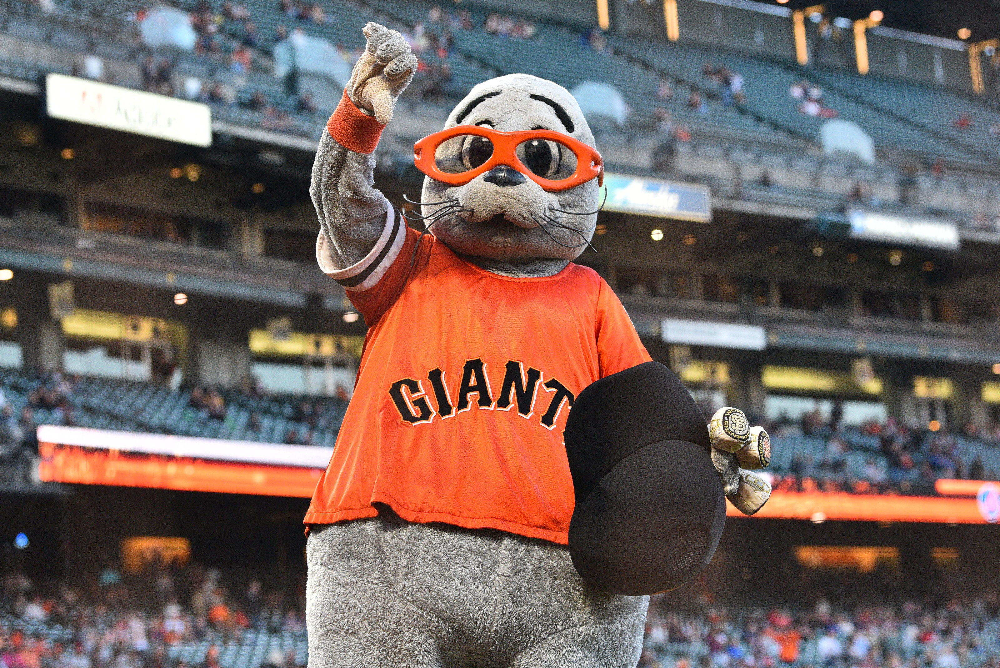 San Francisco Giants mascot Lou Seal before a baseball game