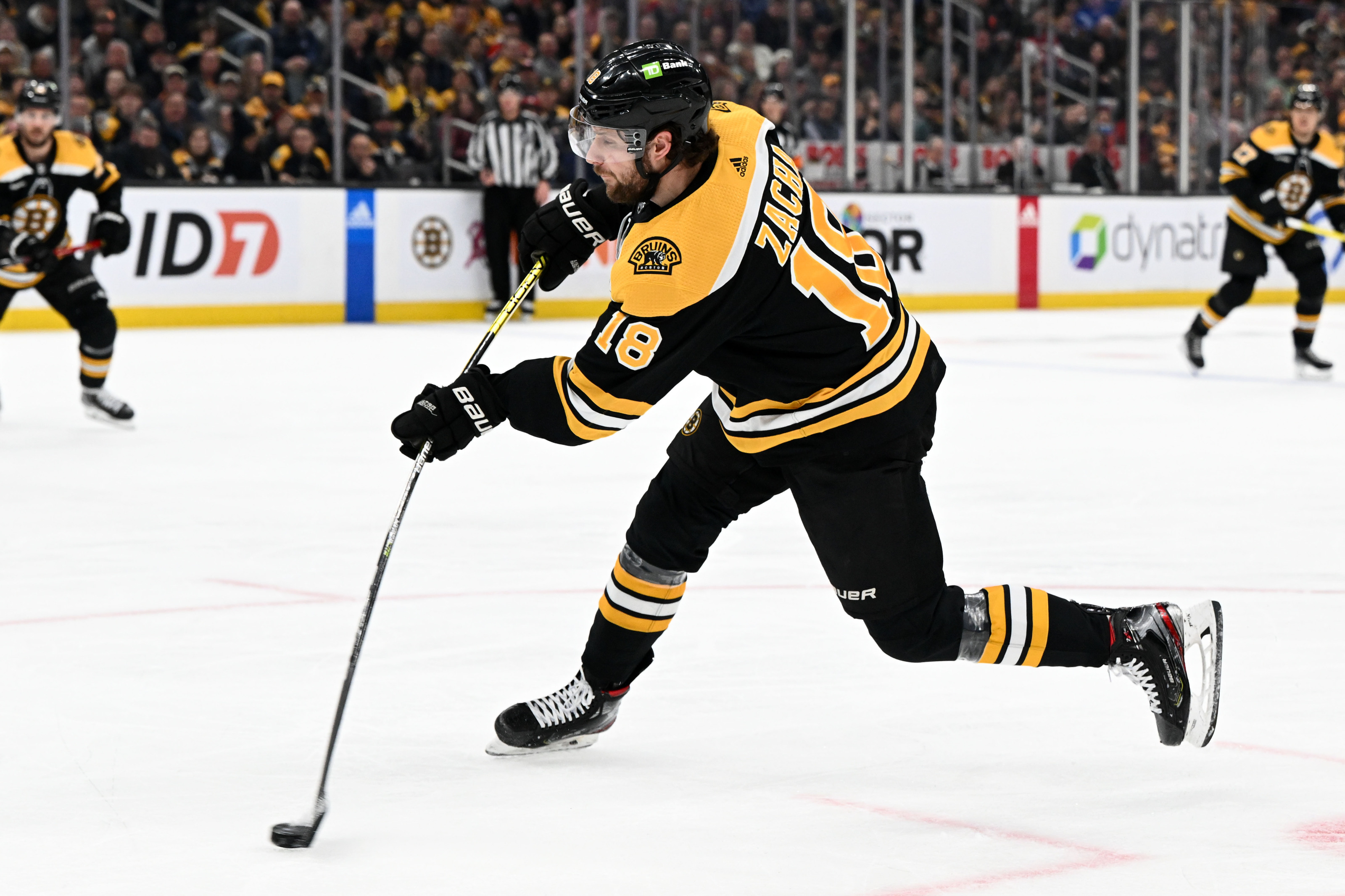 The Boston Bruins Sign Pavel Zacha - Belly Up Sports