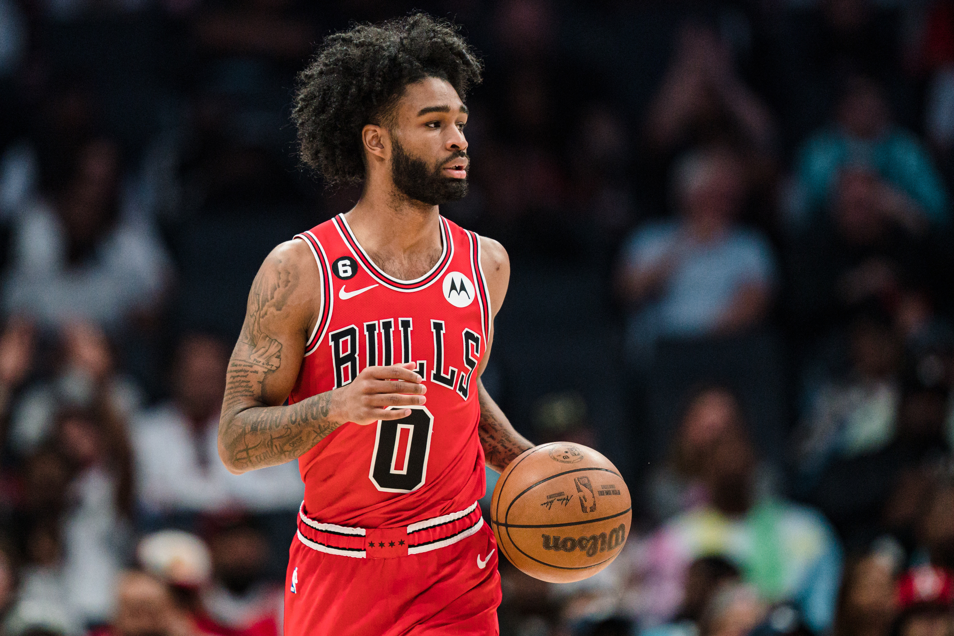Coby White of the Chicago Bulls looks on during the game against the  News Photo - Getty Images