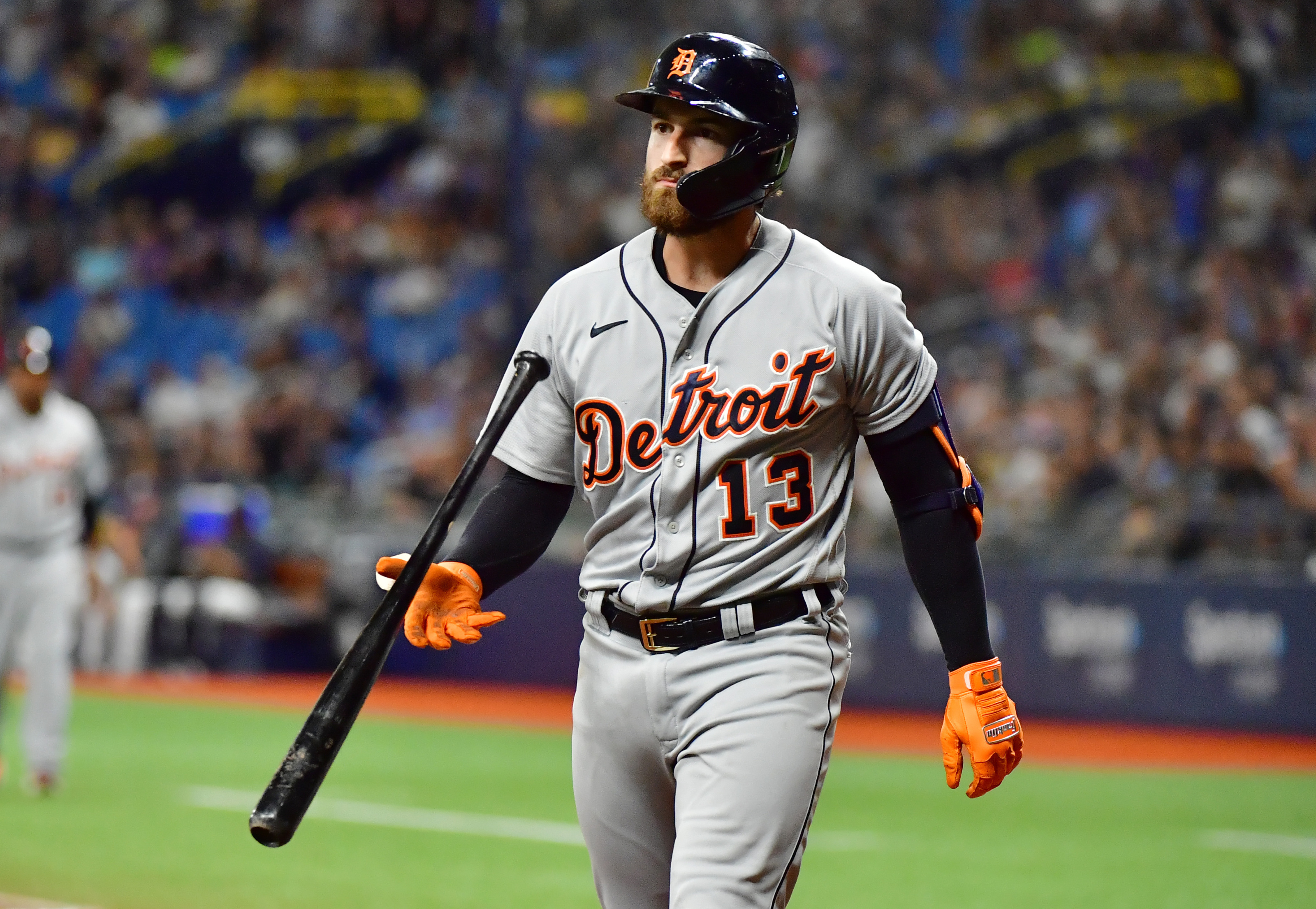 Detroit Tigers: Eric Haase's positional versatility likely to pay