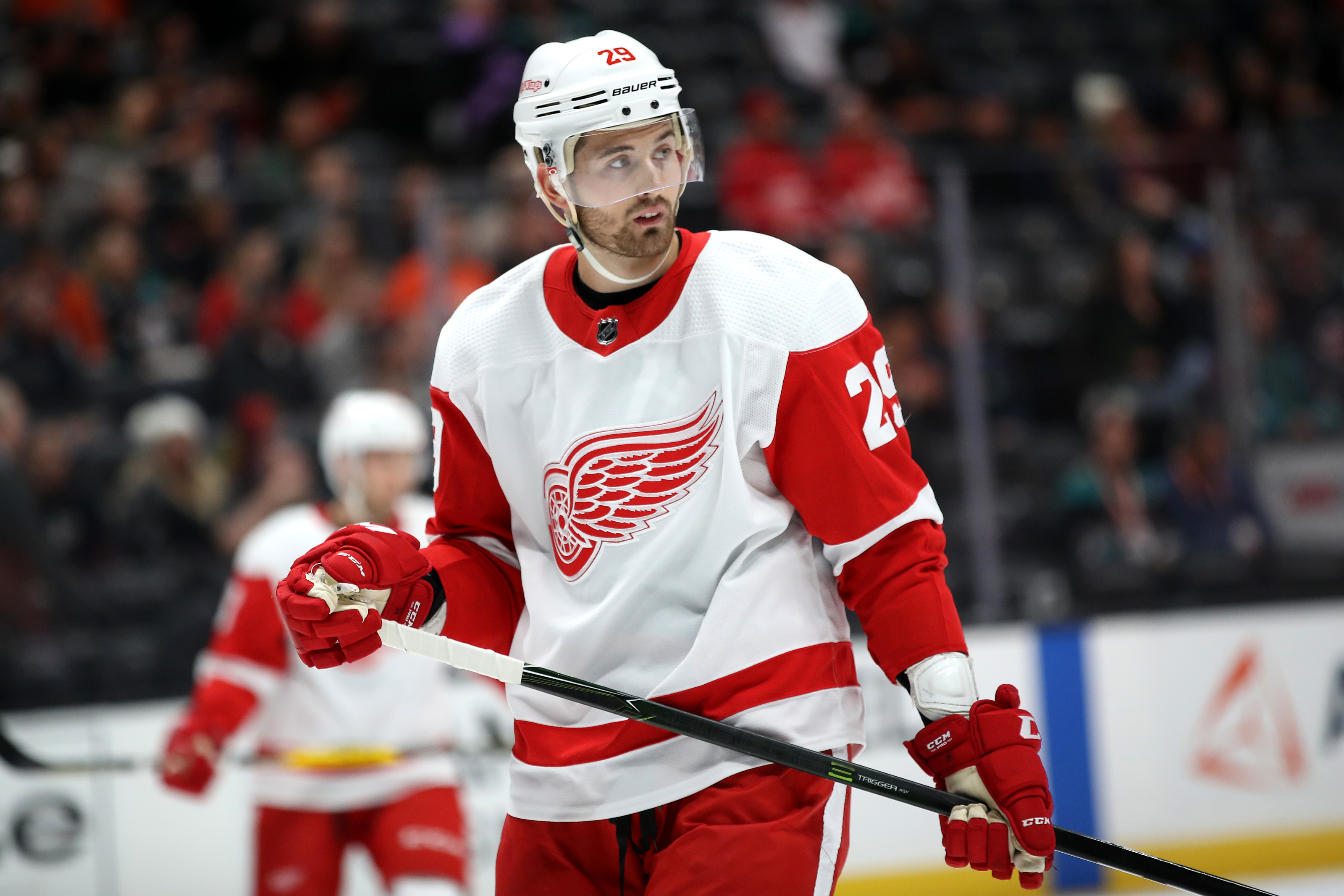 Detroit Red Wings All-Time Salary Cap Team