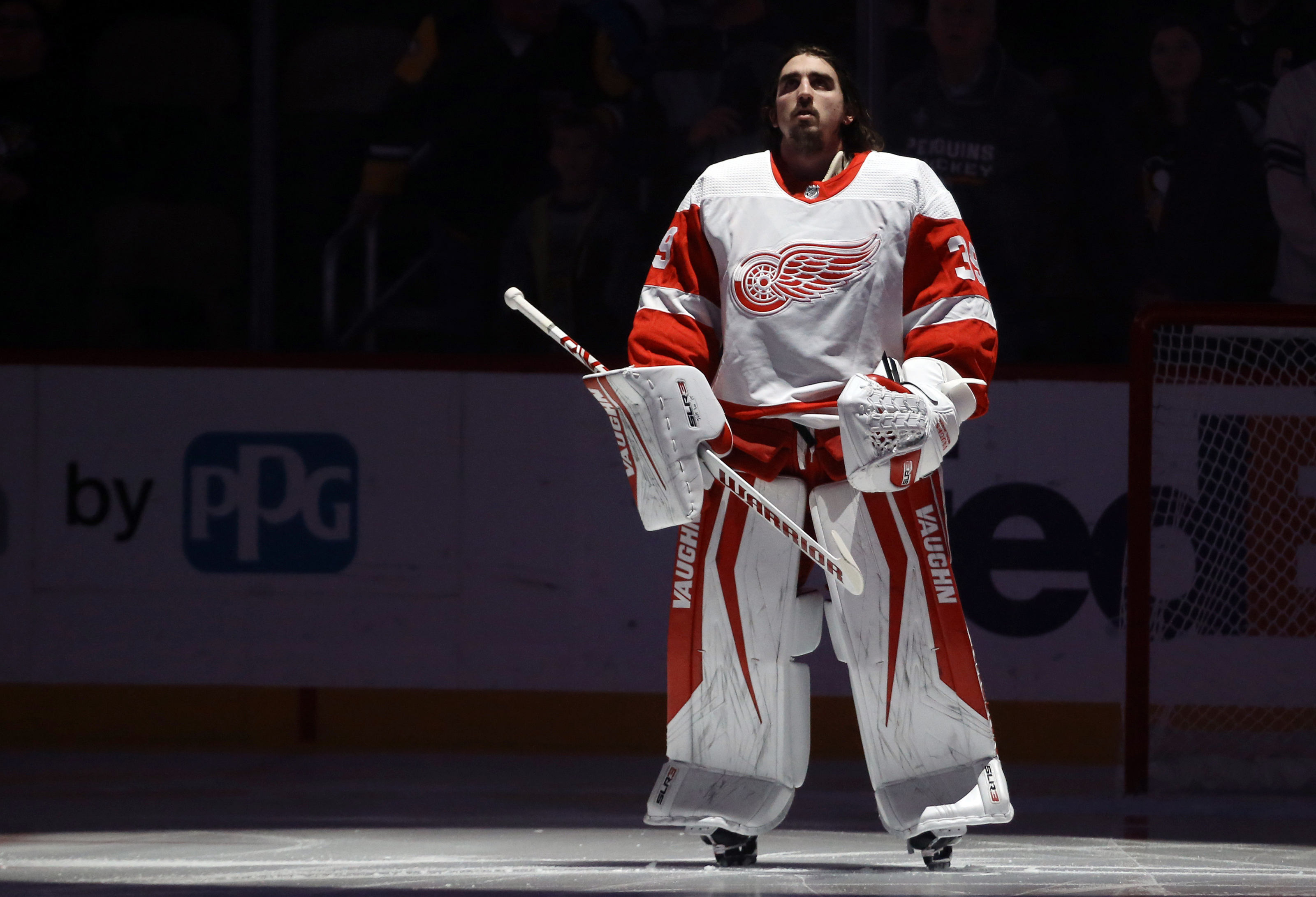 Red Wings acquire goalie Alex Nedeljkovic from Hurricanes
