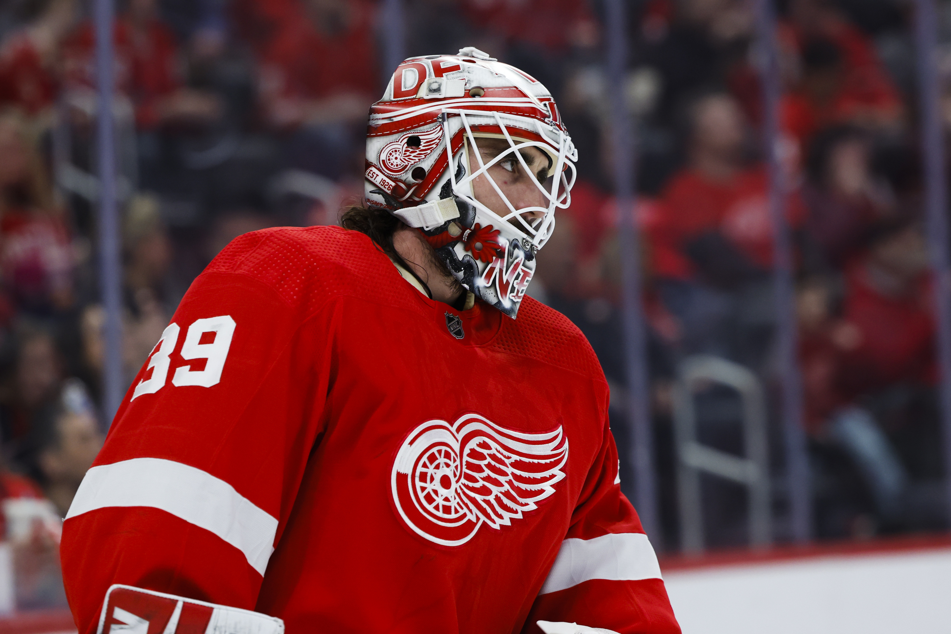 Detroit Red Wings' Offseason Full of Roster Changes