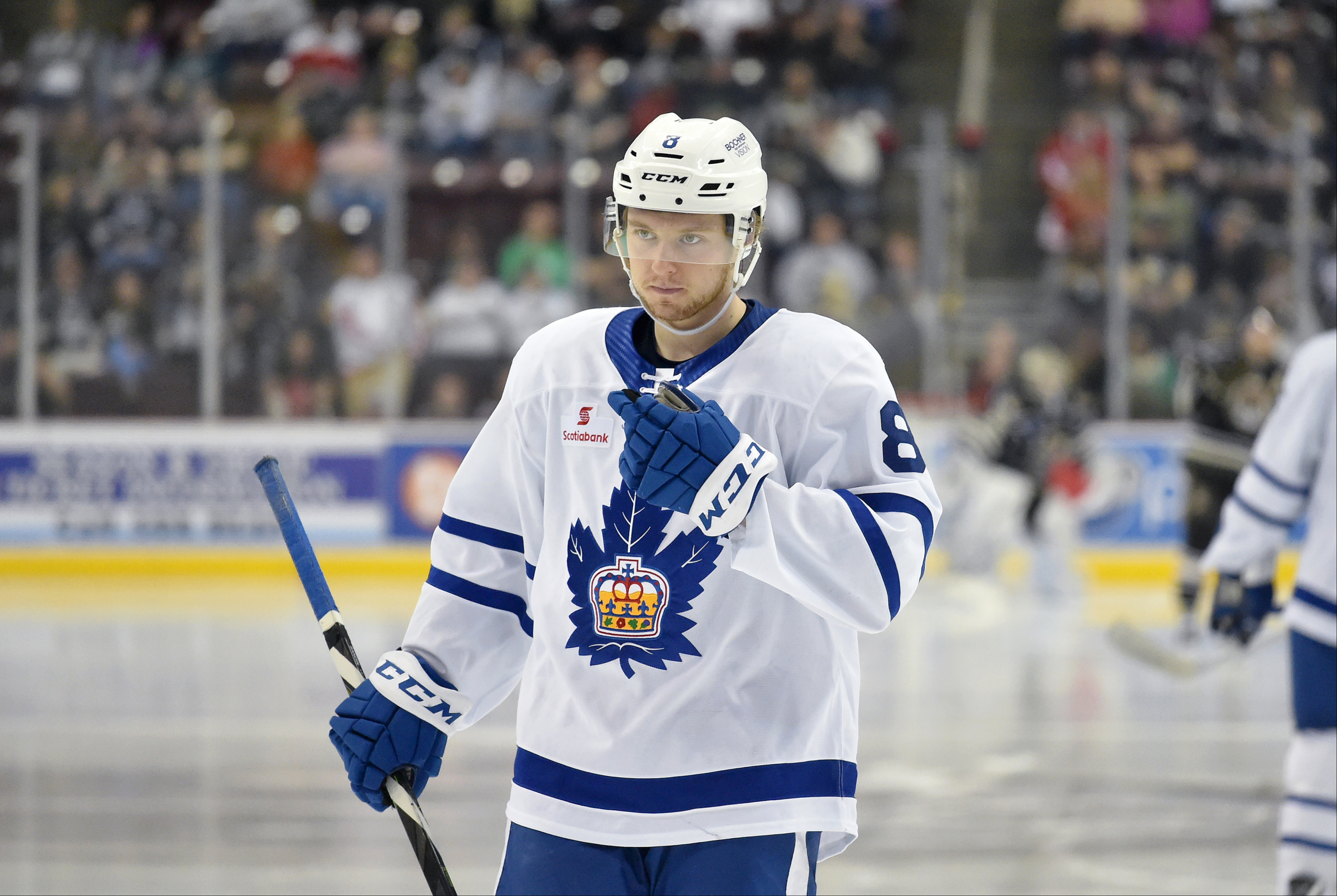 Toronto Maple Leafs Young Marlies Playoff Grades Part One
