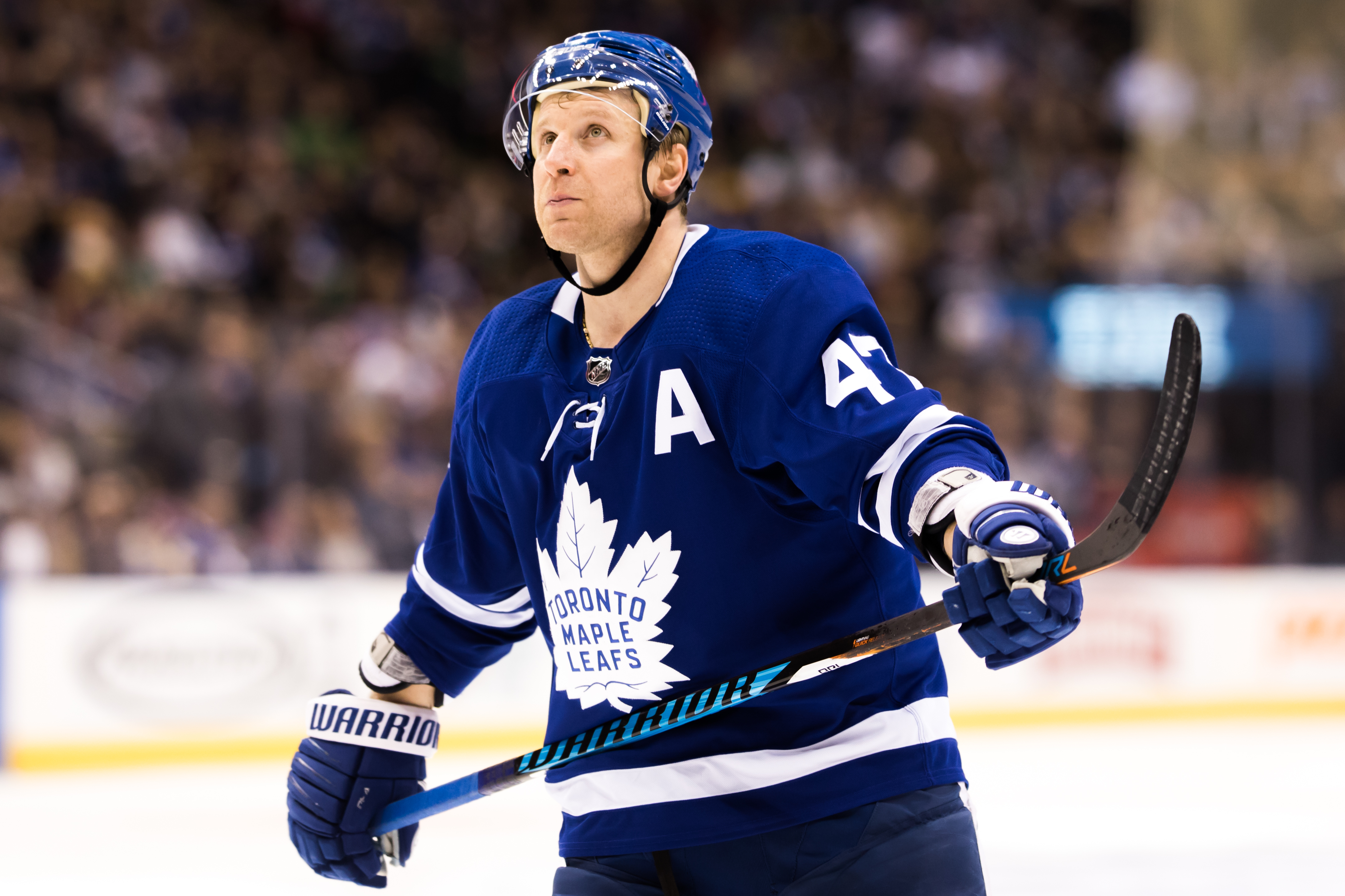 210 Toronto Maple Leafs ideas  toronto maple leafs, maple leafs, toronto  maple