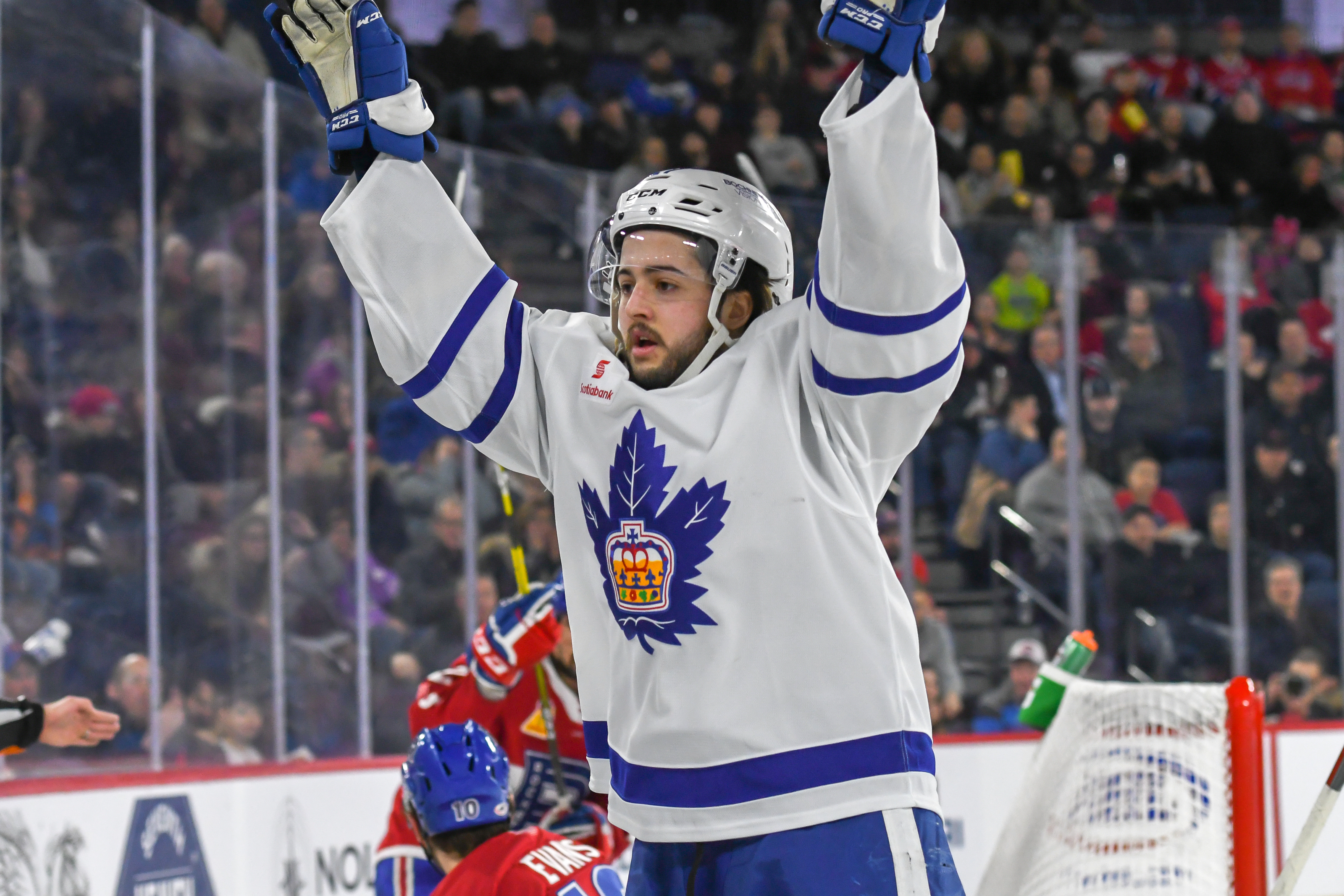 Toronto Marlies: 2019-20 Season Review and a look ahead to 2021