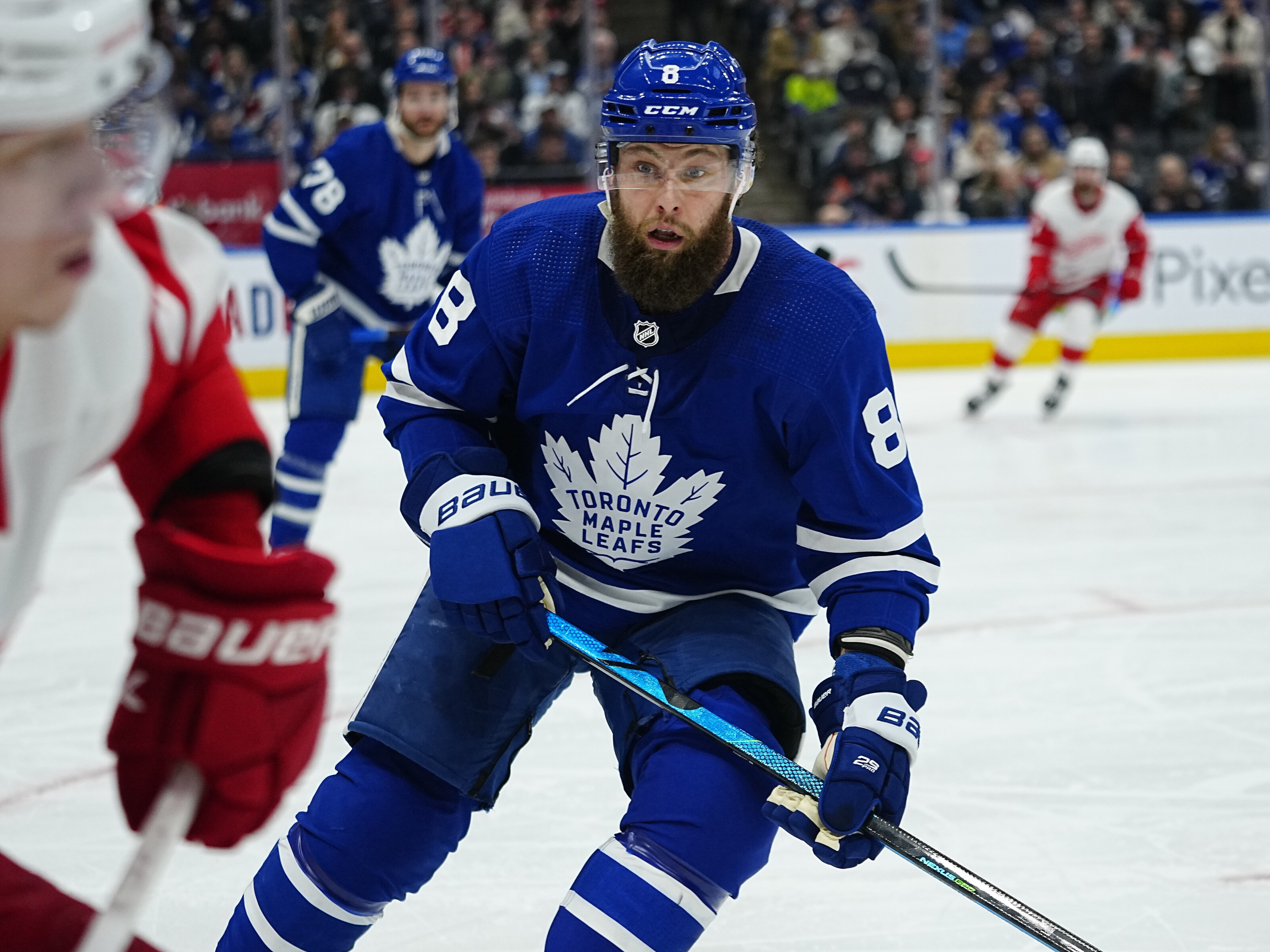 The Toronto Maple Leafs roster is stacked with former captains - Article -  Bardown