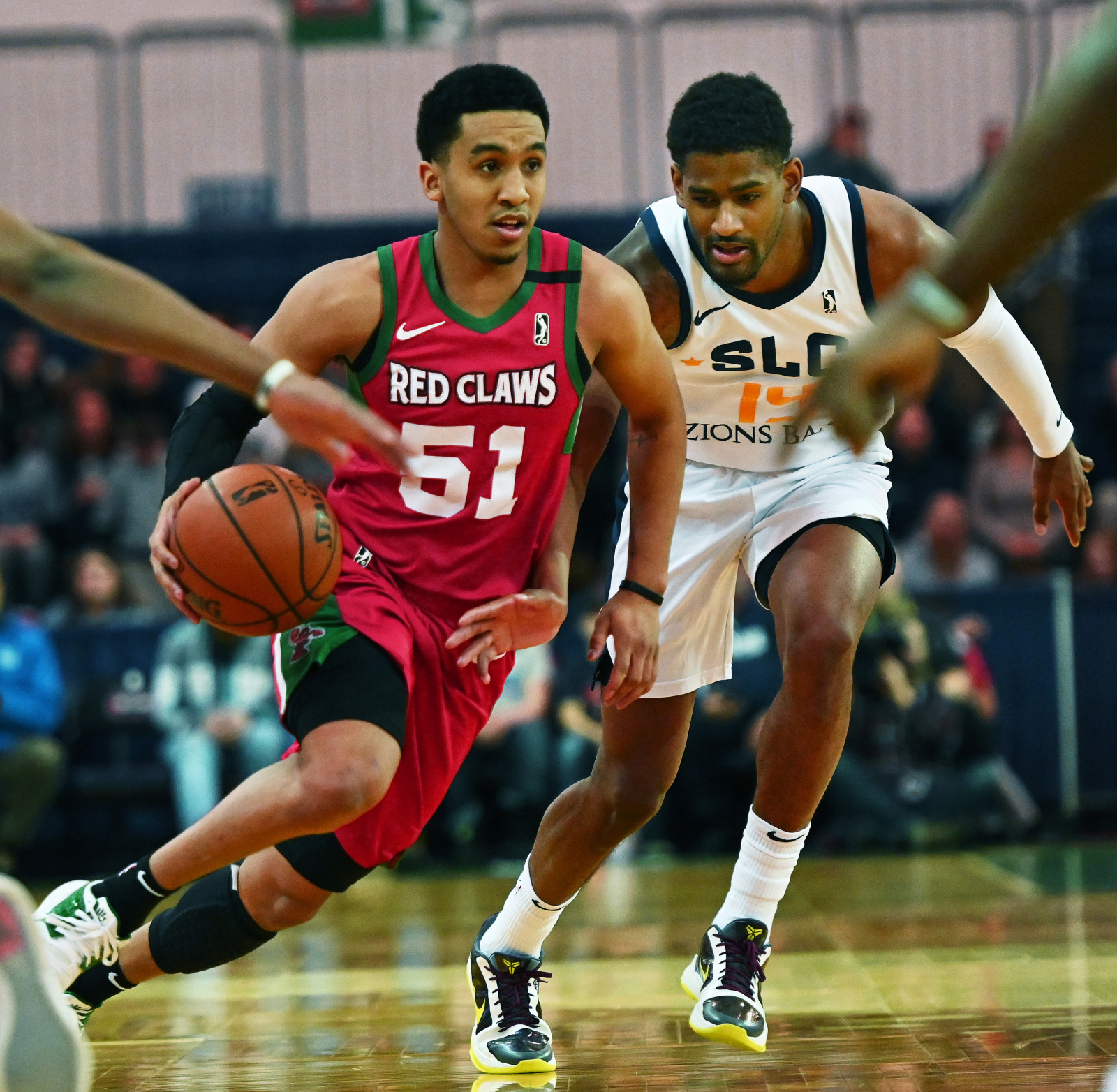 Celtics draft pick Tremont Waters named G League Rookie of the Year - The  Boston Globe 