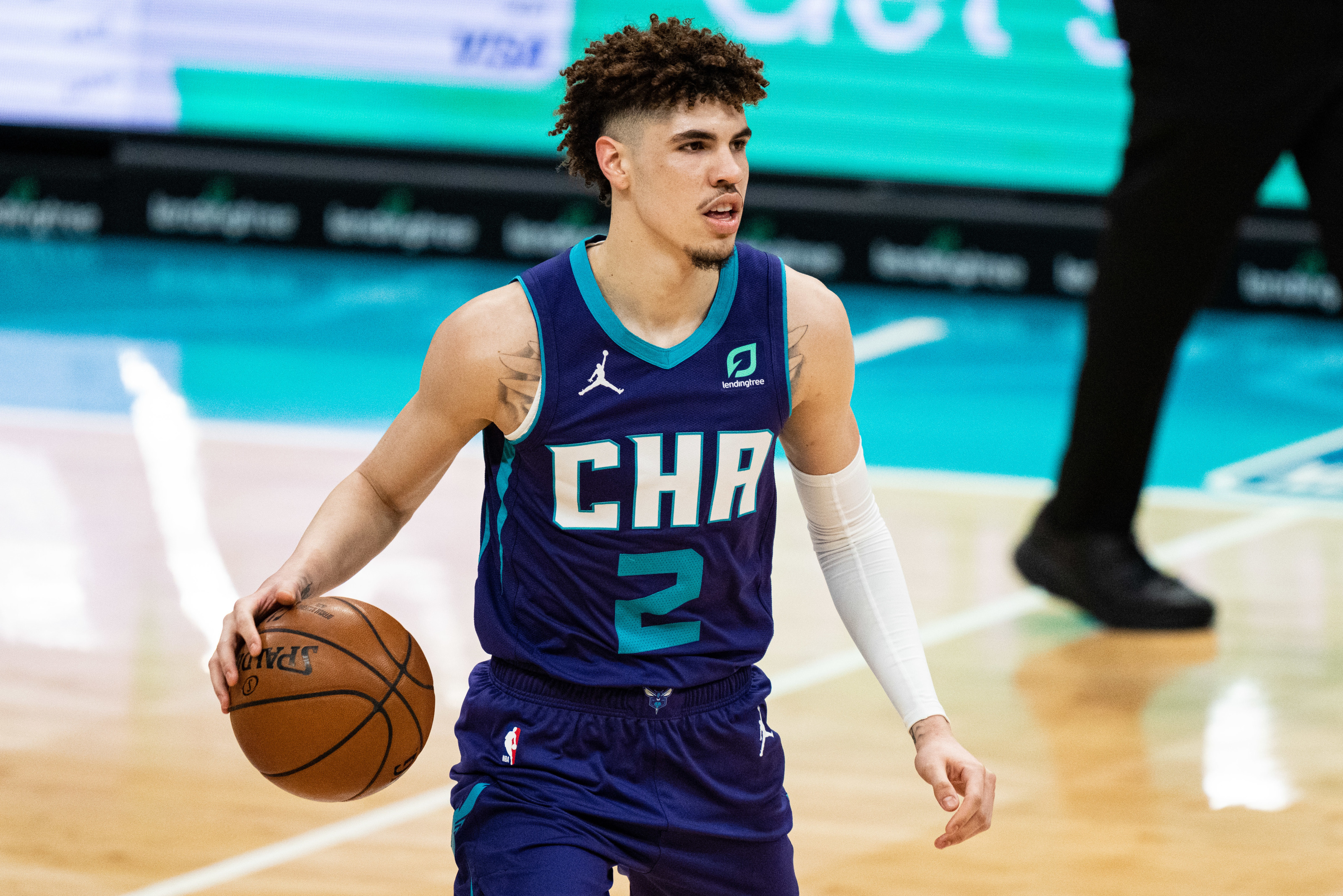 Charlotte Hornets: a preferred type, but it's risky