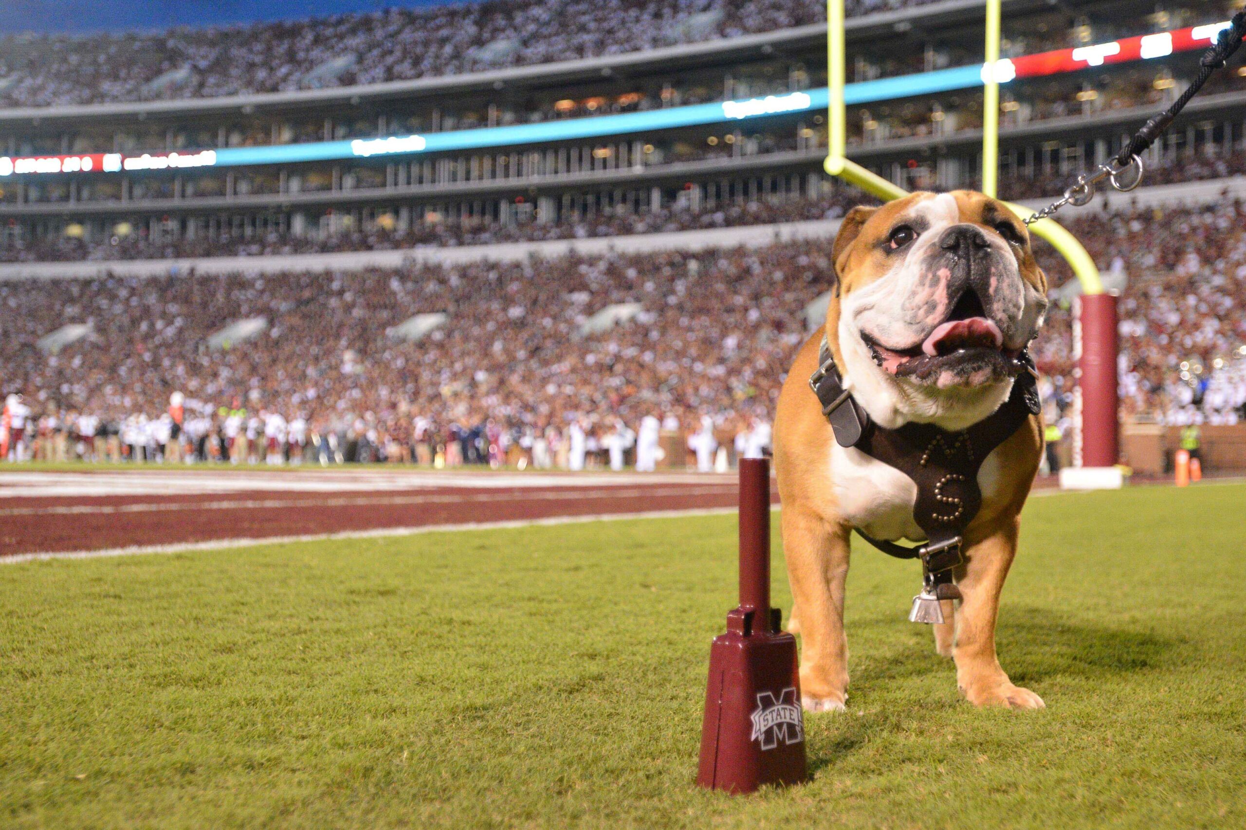 Bully the Bulldog: Mississippi State sports mascot through the years