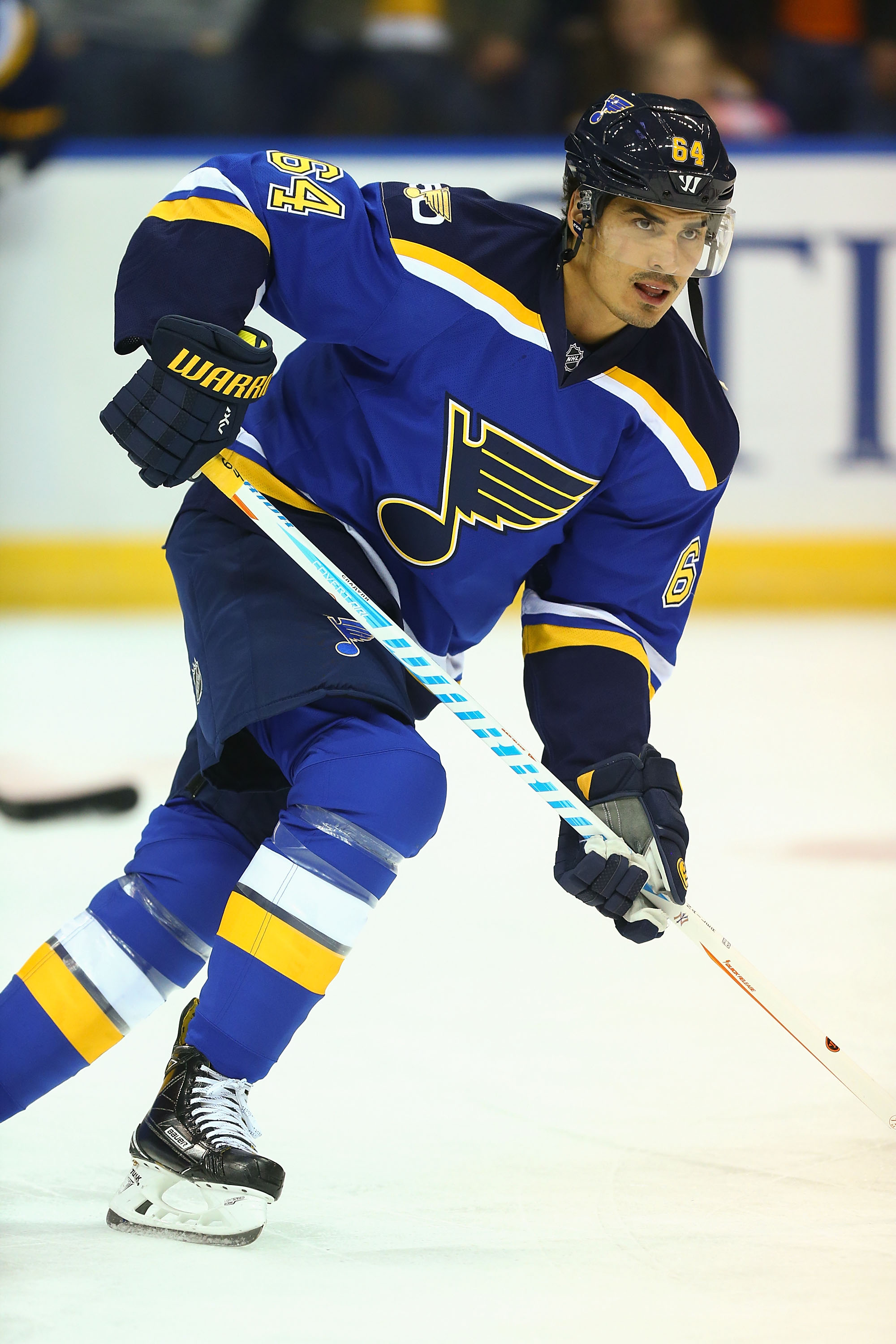 Pin by Real Caron on HOCKEY  St louis blues, Hockey players, Blues