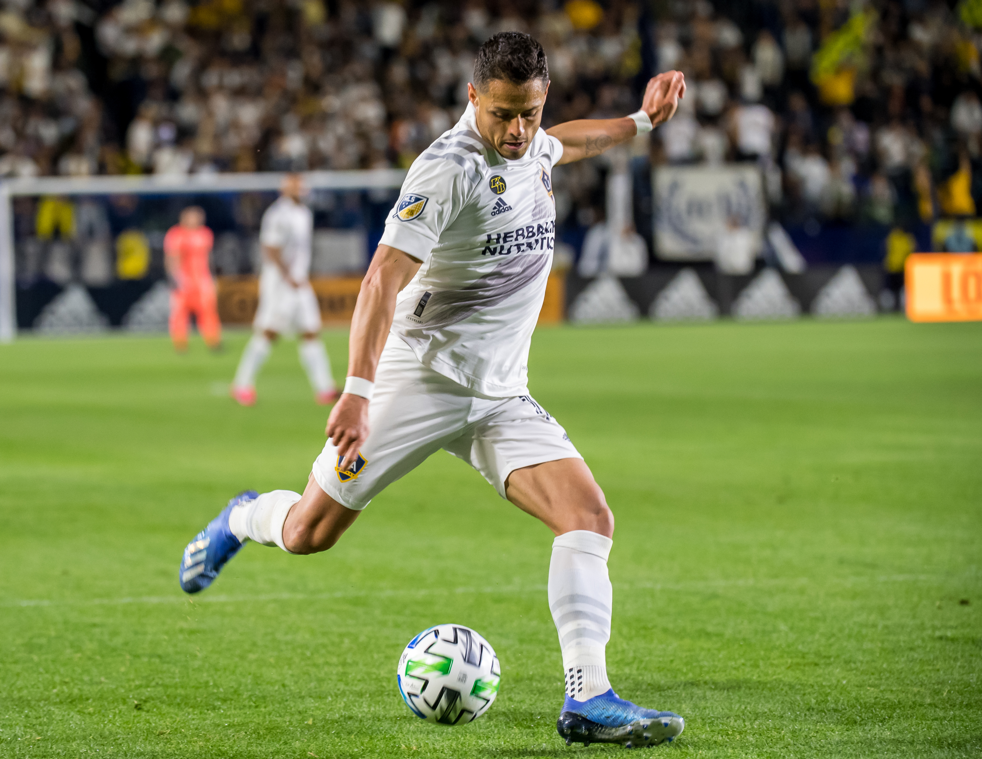 LA Galaxy Vs Portland Timbers: MLS is Back Preview