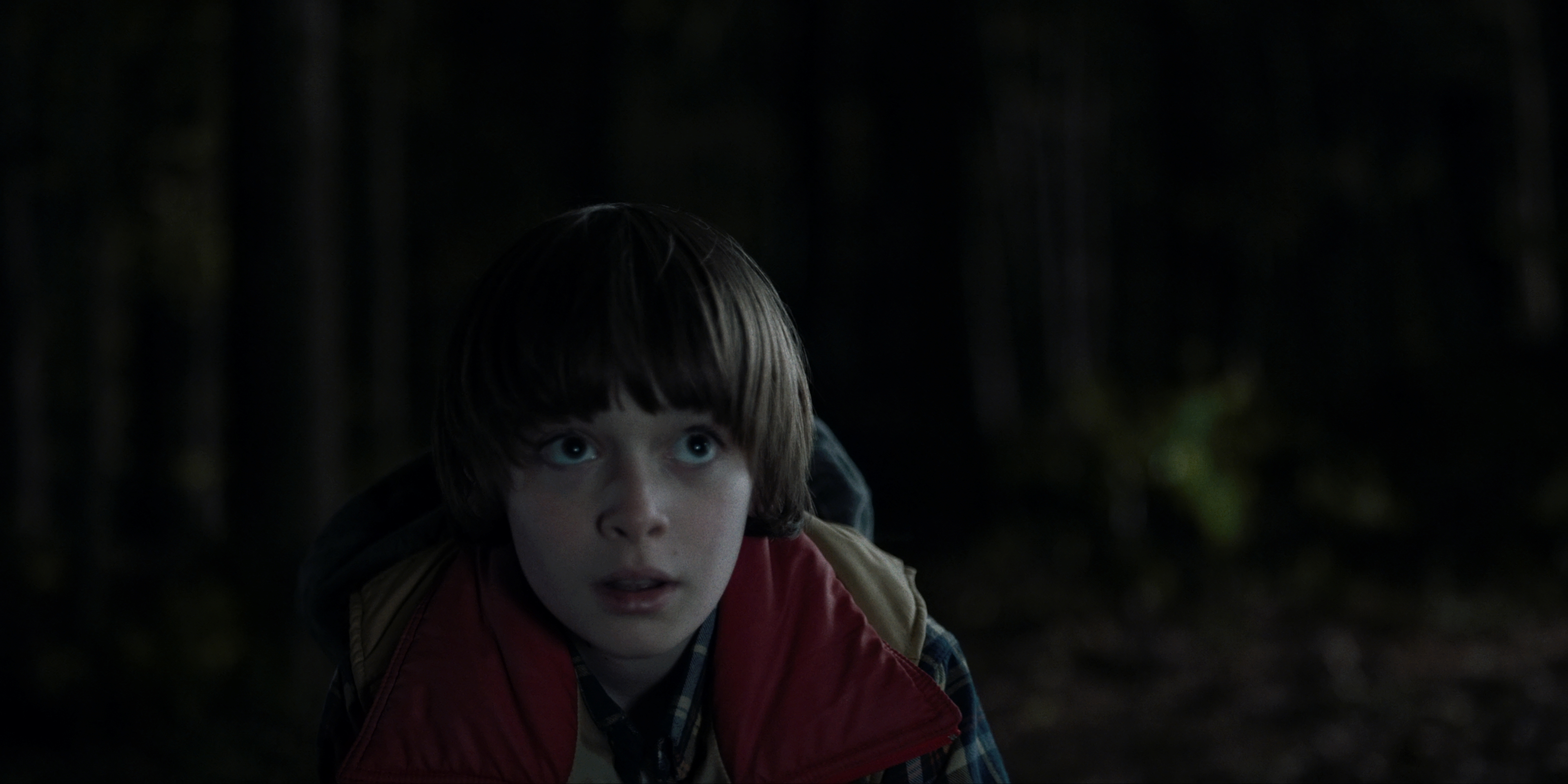 Stranger Things season 2: Will Byers will be a main focus