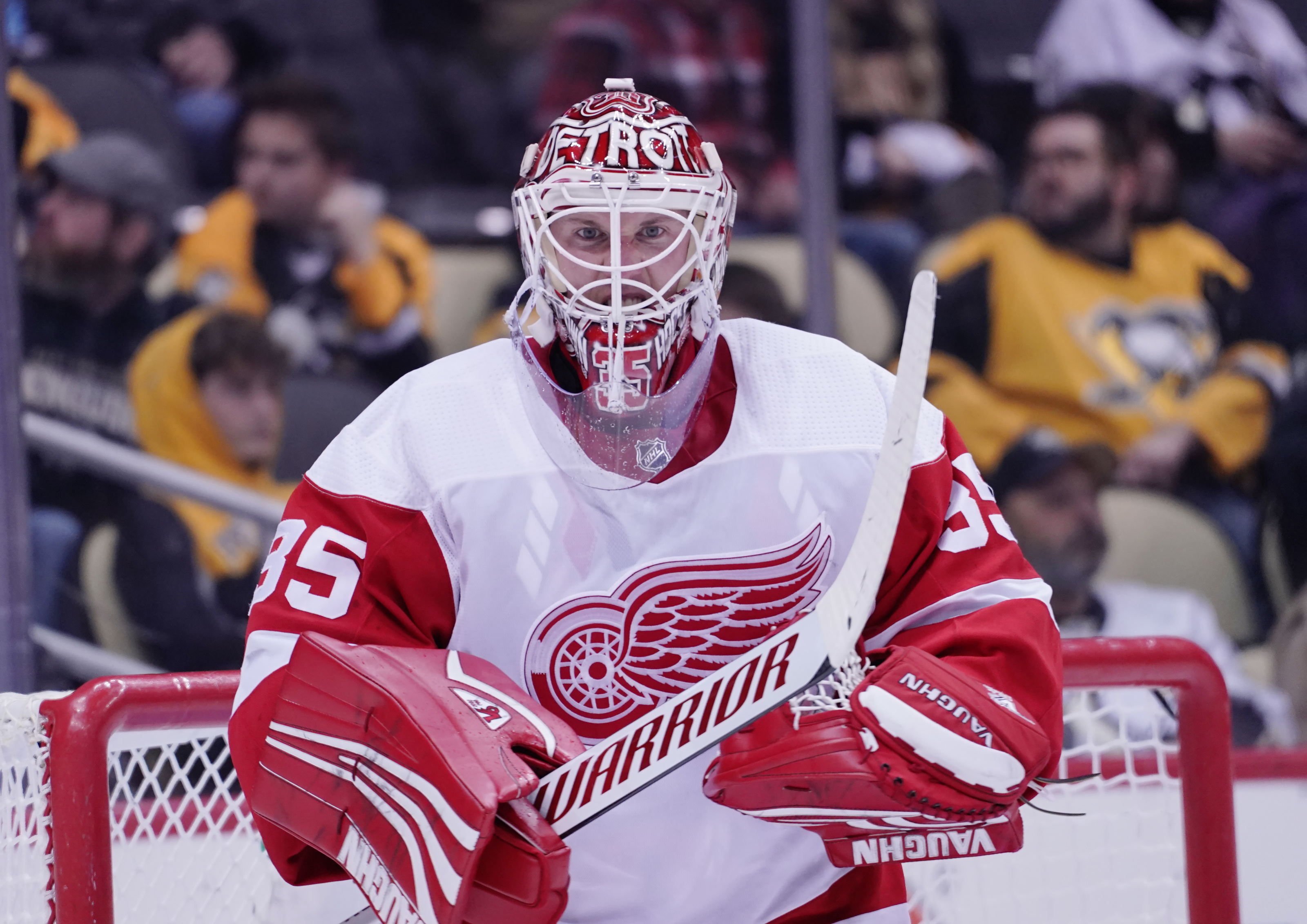 Detroit Red Wings goalie Jimmy Howard (35) during the NHL game