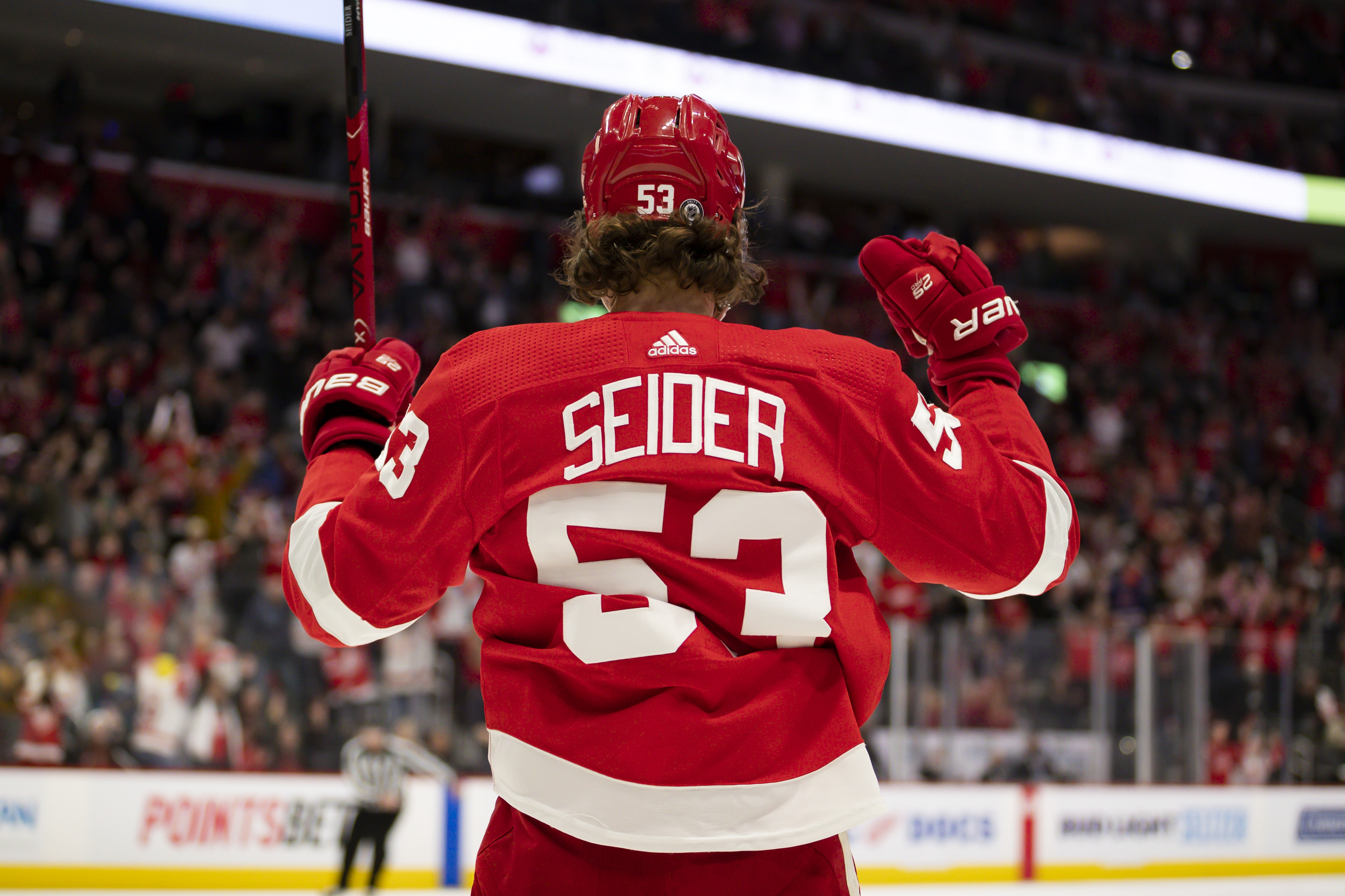 Here's why you should never try to hit Red Wings Defenseman Mo Seider