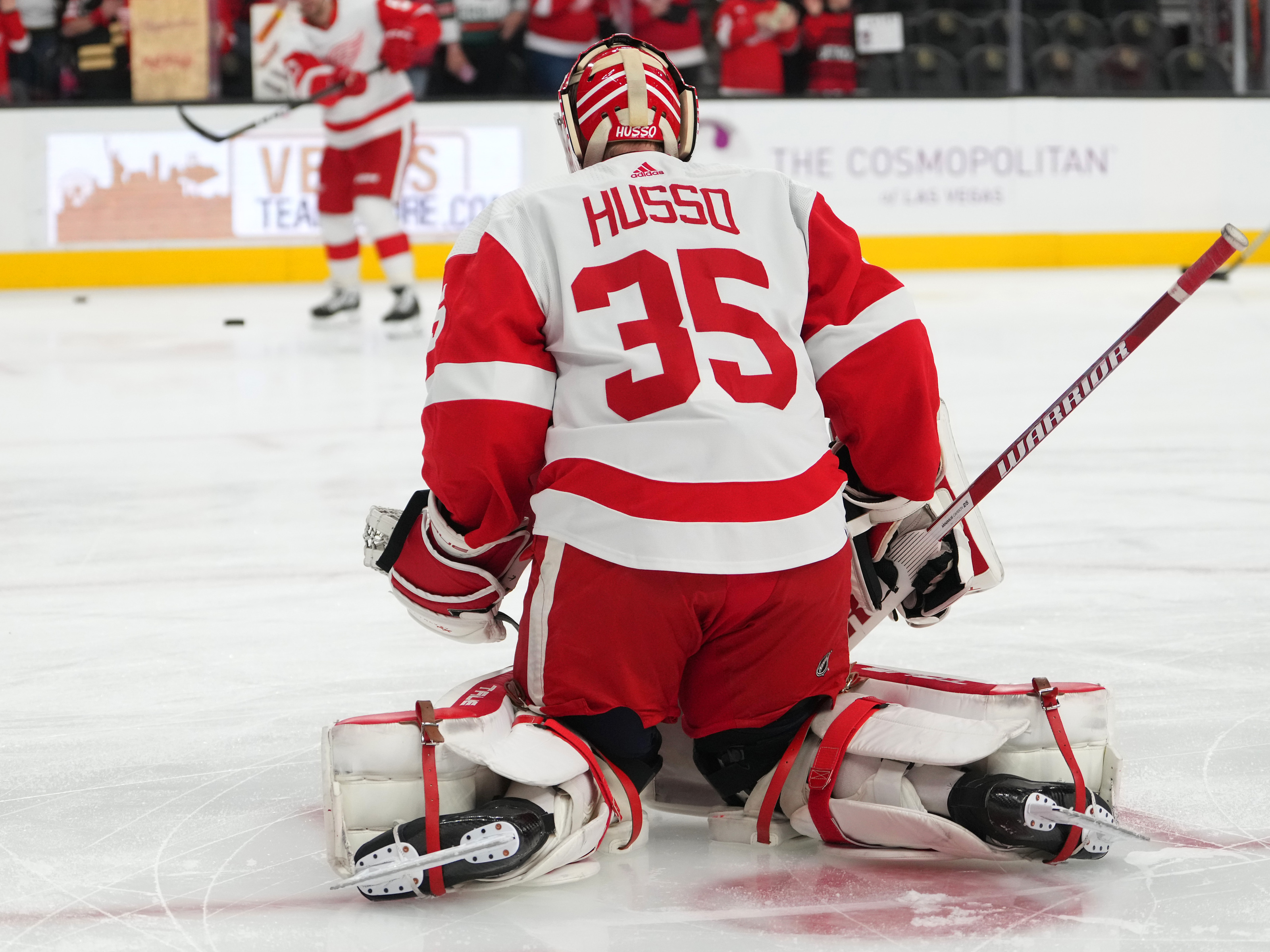 Red Wings: Player Profile, Ville Husso
