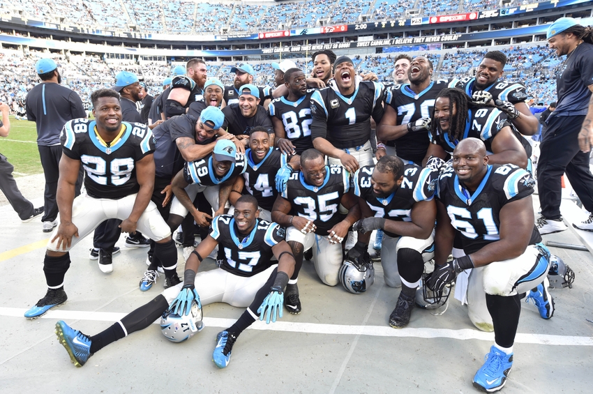 panthers nfl team
