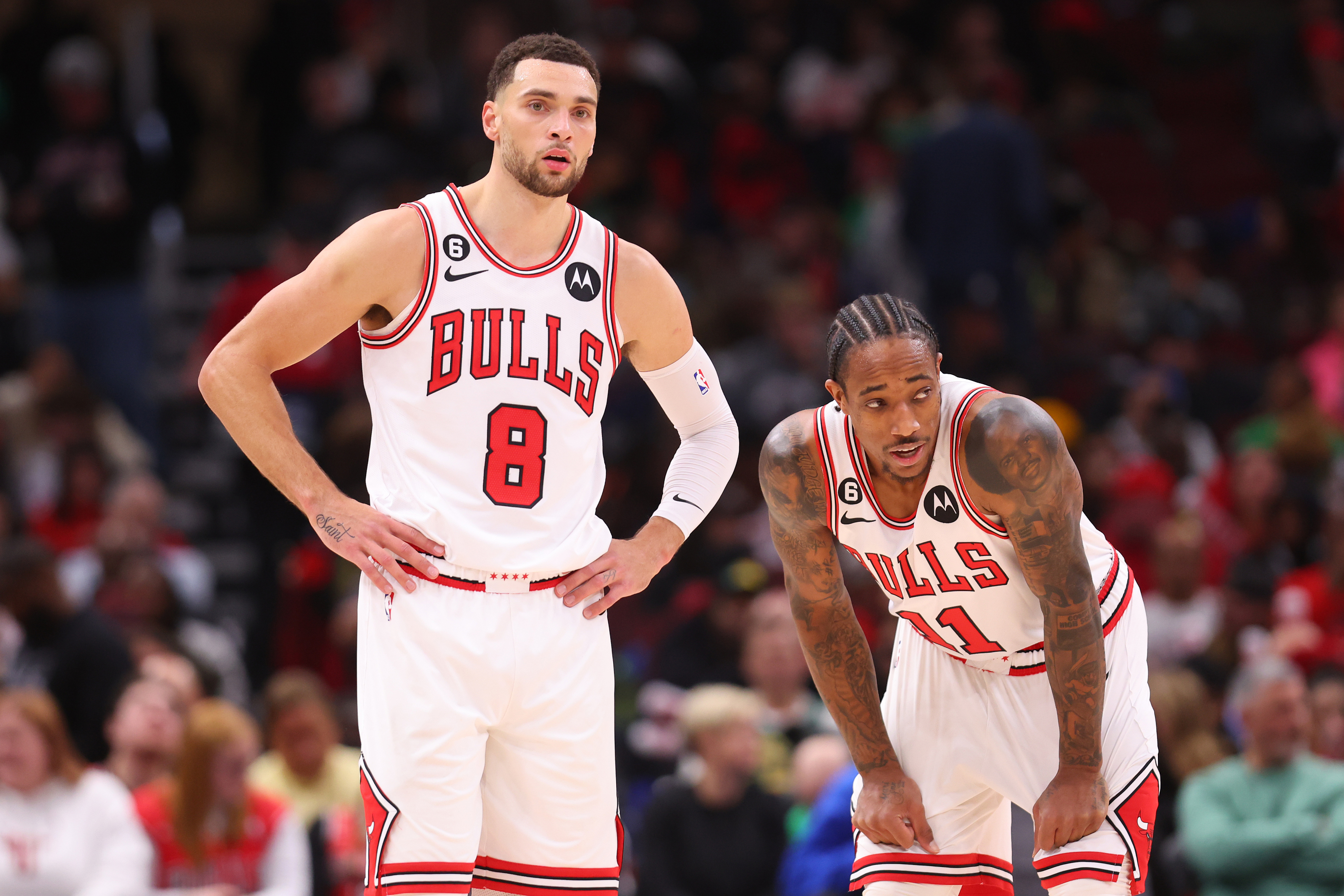 Chicago Bulls: Teams fans should watch in the NBA Playoffs